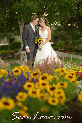 Boulder Wedding Photographer Boulder Wedding Photographer