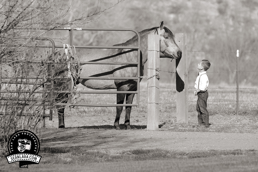 Sean Lara Photography163355