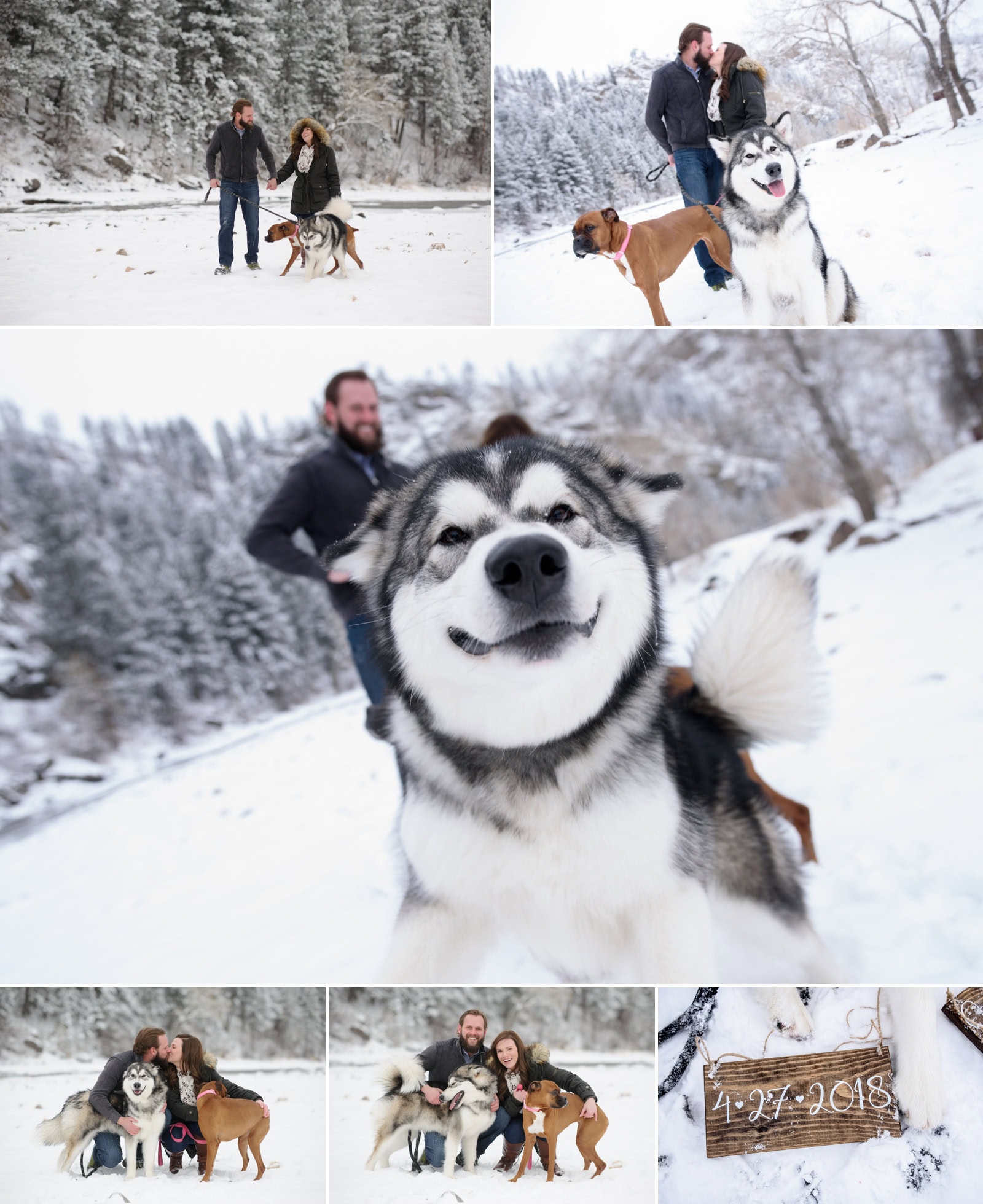 Fort Collins Engagement Session