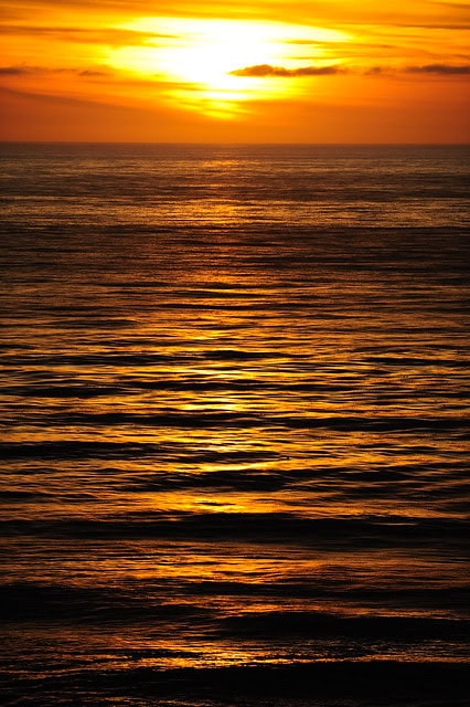 family portrait photographer, family portrait photography, family portraits, family portraits photographer, family portraits photography, Fort Collins family portrait photographer, Fort Collins Family Portraits, laguna niguel, orange county family portrait photographer, orange county family portraits photography, orange county photographer, orange county portrait photographer