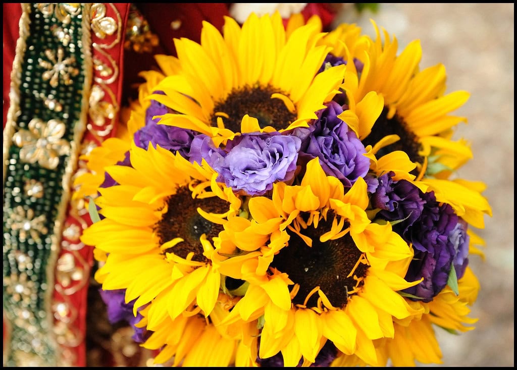 Indian Wedding Photographer, Indian Wedding Photography, indian weddings, Irvine Indian Photography, irvine indian wedding photography, irvine indian weddings, los angeles indian photographer, los angeles indian weddings, orange county indian photographer, Orange County Indian Wedding photographer, Orange county indian wedding photography, san diego indian wedding photographer