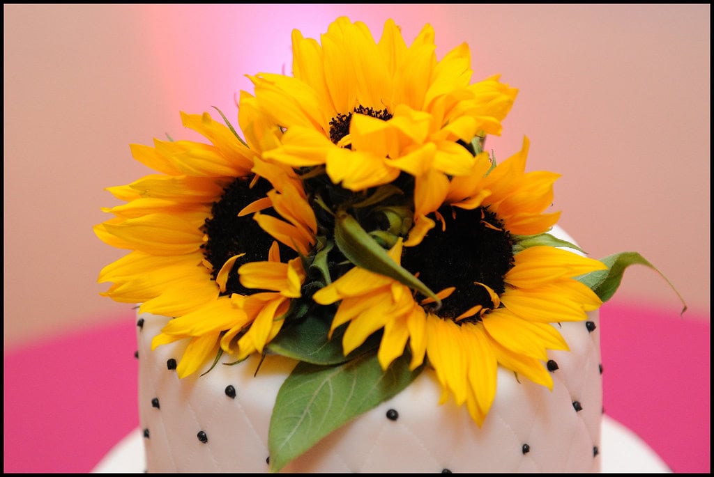 Indian Wedding Photographer, Indian Wedding Photography, indian weddings, Irvine Indian Photography, irvine indian wedding photography, irvine indian weddings, los angeles indian photographer, los angeles indian weddings, orange county indian photographer, Orange County Indian Wedding photographer, Orange county indian wedding photography, san diego indian wedding photographer