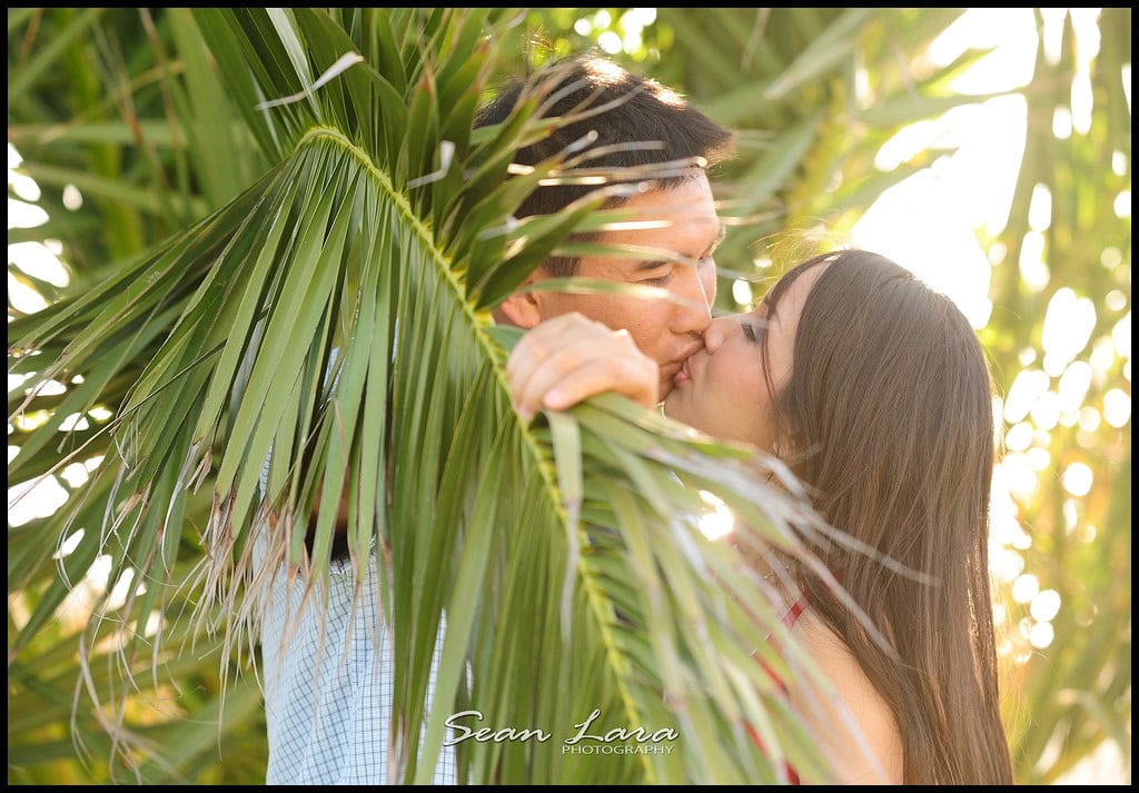 laguna beach wedding photographer, laguna beach wedding photography, montage photography, montage resort photography, montage wedding photography, portrait photographer, professional photographer