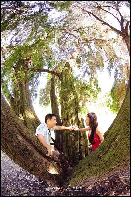 laguna beach wedding photographer, laguna beach wedding photography, montage photography, montage resort photography, montage wedding photography, portrait photographer, professional photographer