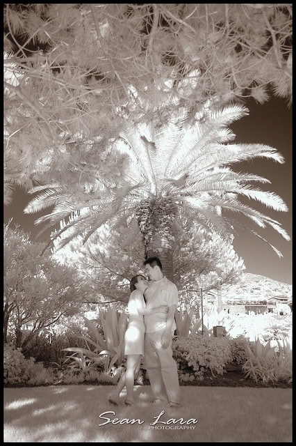 infrared photography