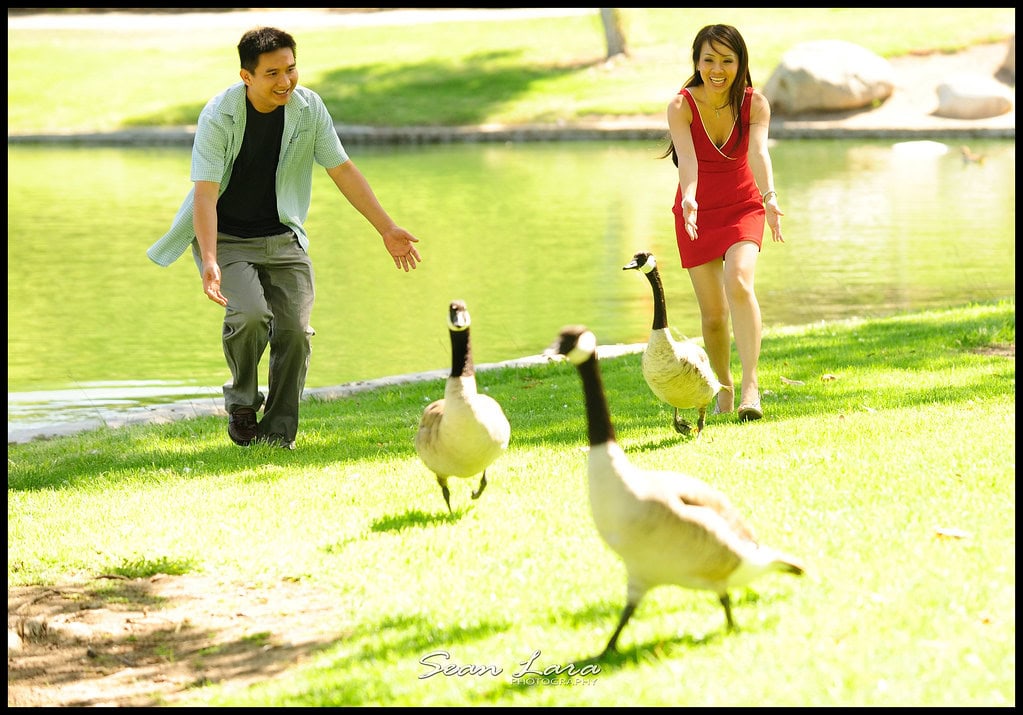 laguna beach wedding photographer, laguna beach wedding photography, montage photography, montage resort photography, montage wedding photography, portrait photographer, professional photographer