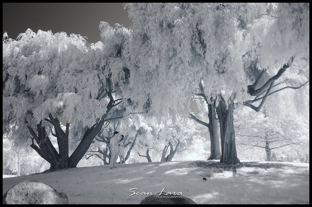 laguna beach wedding photographer, laguna beach wedding photography, montage photography, montage resort photography, montage wedding photography, portrait photographer, professional photographer