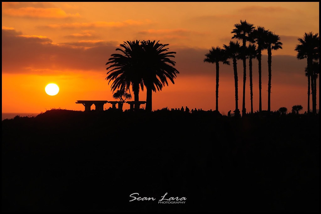 laguna beach wedding photographer, laguna beach wedding photography, montage photography, montage resort photography, montage wedding photography, portrait photographer, professional photographer