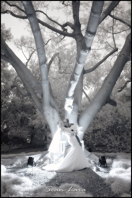 Alder's Gate Retreat, Santa Monica Wedding