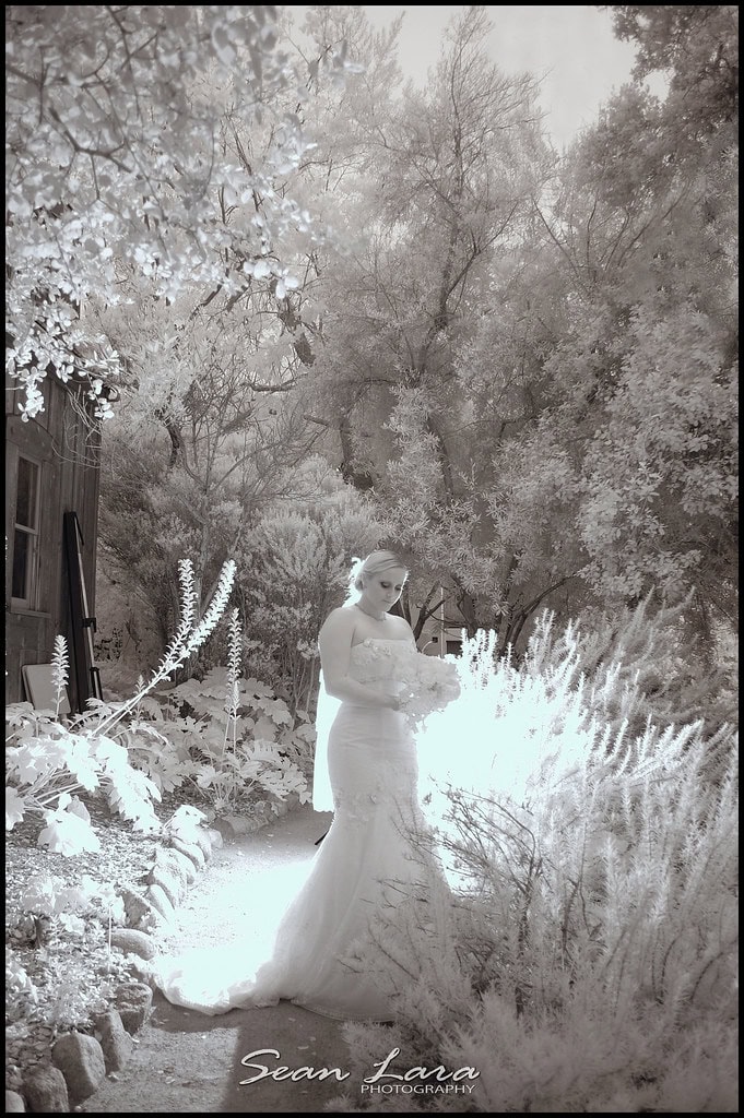 Alder's Gate Retreat, Santa Monica Wedding