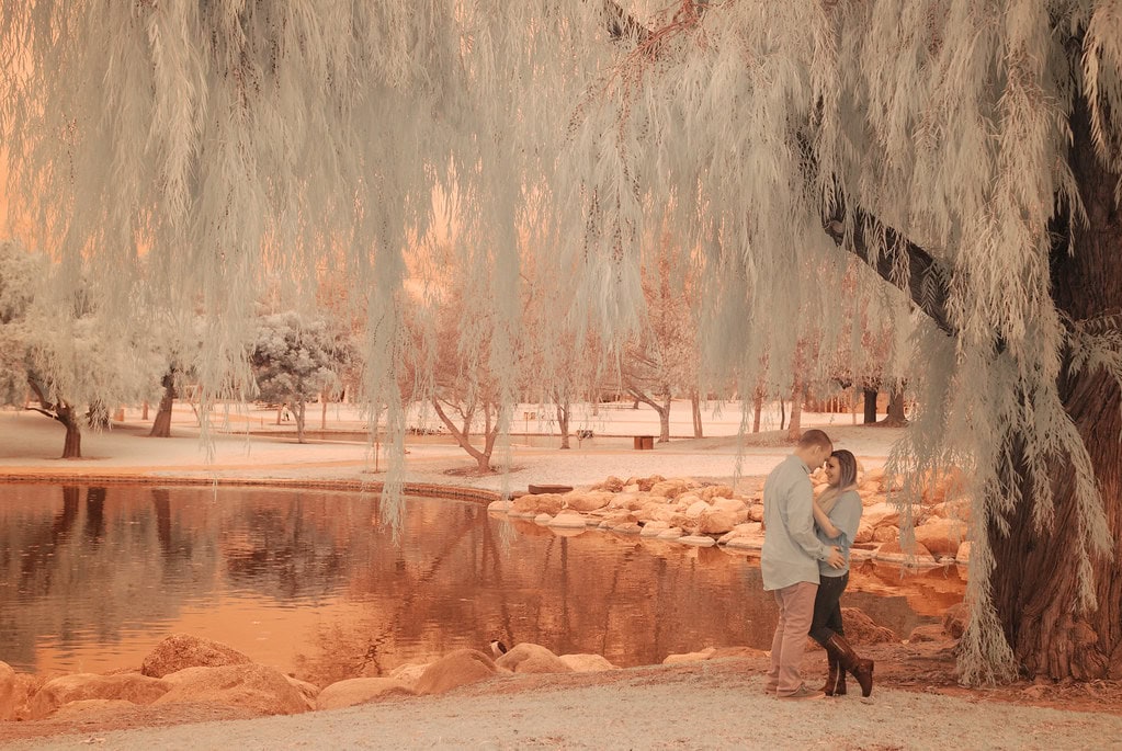infrared photography 