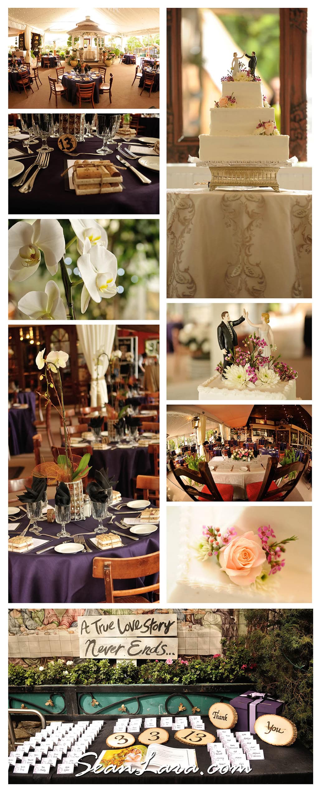 laguna beach wedding photographer 4